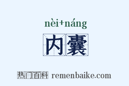 内囊是什么意思的图片